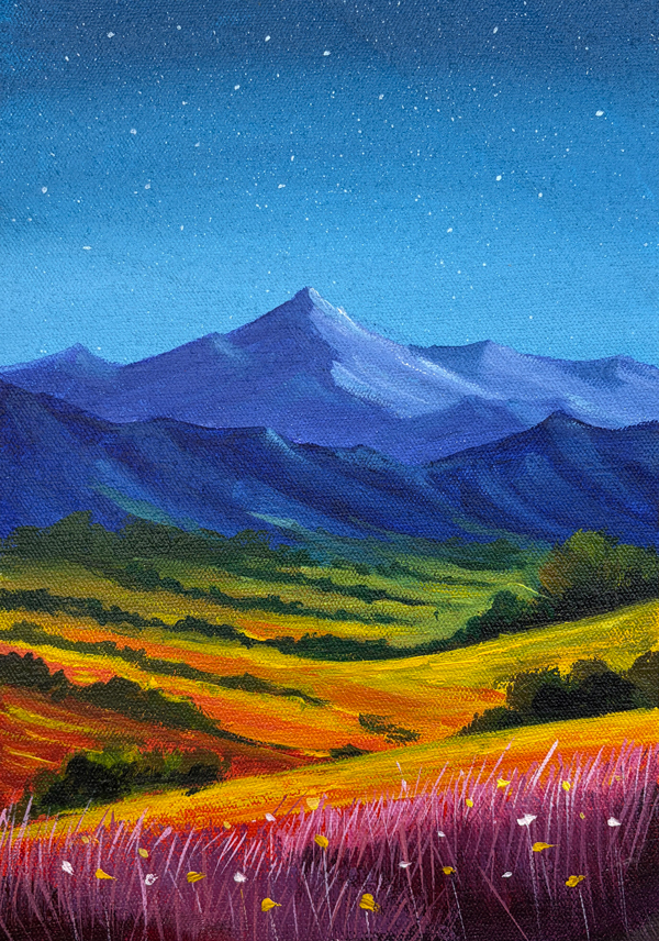 05. Colorful Flower Field